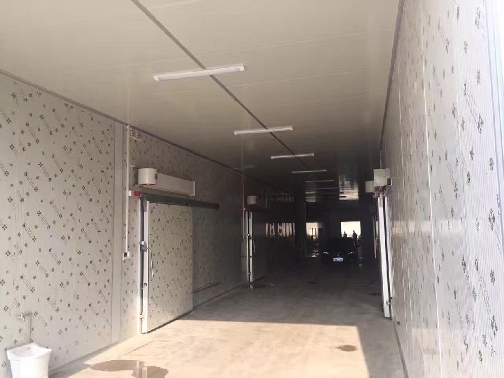 怎么选择冷藏冷库的尺寸和容量?